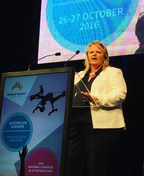 14936978_10155525735387316_671574257_n