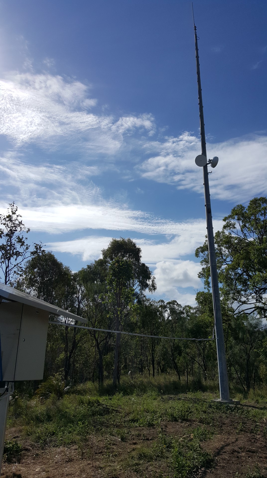 Photo 13 (Large) - Copy