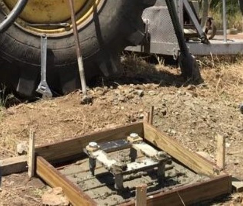 Photo 7 (Large) - Copy